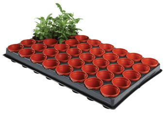 picture of Garland Professional Seed and Cutting Tray - 40 x 6cm Pots - [GRL-W0050]