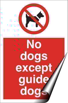Picture of No Dogs Except Guide Dogs Sign - 200 x 300Hmm - Self Adhesive Vinyl - [AS-PR83-SAV]