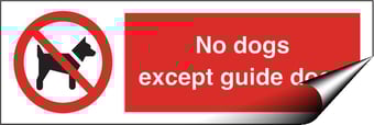 Picture of No Dogs Except Guide Dogs Sign - 300 X 100Hmm - Self Adhesive Vinyl - [AS-PR93-SAV]