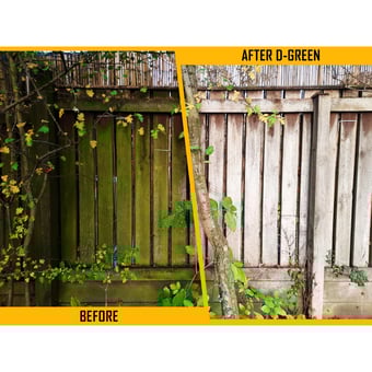 picture of V-TUF D-GREEN - Garden Surface Cleaner - 20L - [VT-VDG20L]