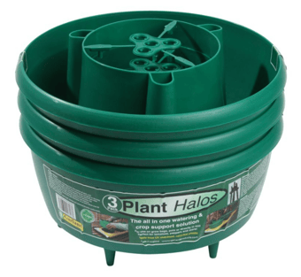 Picture of Garland Plant Halos Green - Set of 3 - [GRL-G167G]