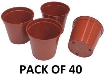 picture of Garland 6cm Replacement Seed & Cutting Tray Pots - Pack of 40 - [GRL-W0066]