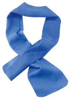 picture of Ergodyne Chill-Its Cooling Towel 10cm x 75cm - [BE-EY6603]