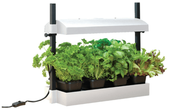 picture of Garland Micro Grow Light Garden White - [GRL-G187W]