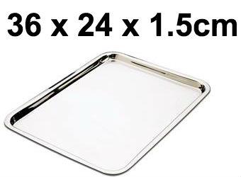 picture of Stainless Steel Instrument Tray - 36 x 24 x 1.5cm - [ML-W306] - (DISC-R)