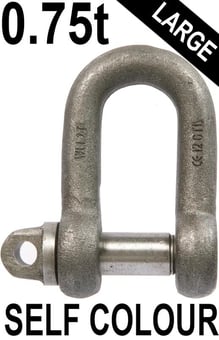 picture of 0.75t WLL Self Colour Large Dee Shackle c/w Type A Screw Collar Pin - 1/2" X 5/8" - [GT-HTLDSC.75]