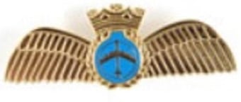 picture of AFE Wings Badge - Small - 25mm - [AE-WINGSBADGE]