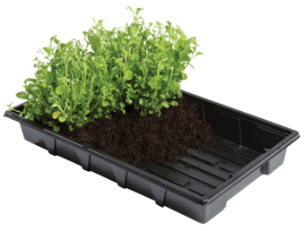 Picture of Garland Professional Gravel Trays - Pack of 5 - [GRL-W0004]