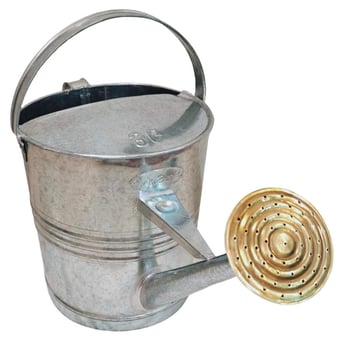 Picture of ProSolve Galvanised Watering Can 12L c/w Brass Rose - [PV-PVGALVWC12]