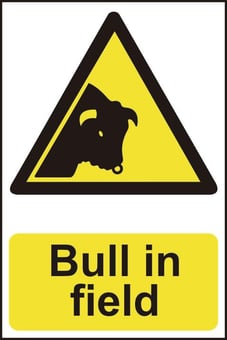 Picture of Bull in Field - PVC 200 x 300mm - IH-13804