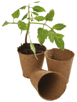 picture of Garland Round Fibre Pots 6cm - Pack of 24 - [GRL-W0280]
