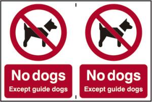 picture of Spectrum No Dogs Except Guide Dogs – CLG 300 x 200mm - SCXO-CI-0612