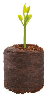 picture of Garland 20 Coir Growing Pellets - [GRL-W0320]
