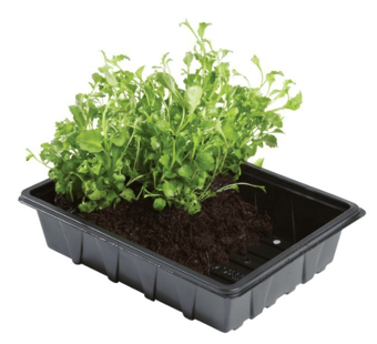 picture of Garland Professional Half Seed Trays - Pack of 5 - [GRL-W0006]
