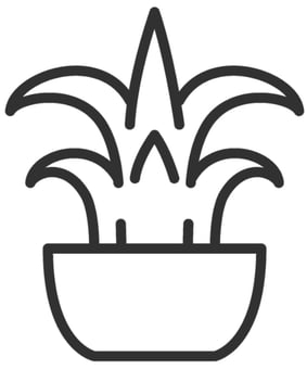 picture of Decorative Accessories