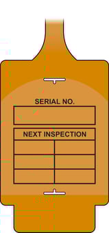 Picture of AssetTag Flex - Inspection 2 (Pk 50 Orange) - [SCXO-CI-TGF0250O]