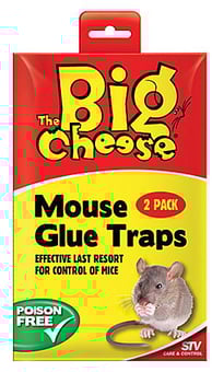 picture of Pest Control For £2.00 & Under