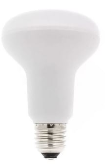 picture of R80 Bulbs