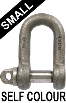 picture of Self Colour Small Dee Shackles c/w Type A
