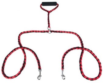 picture of Twin Pet Leads