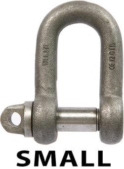 picture of George Taylor Small Dee Shackles