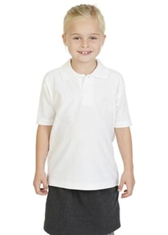 Picture of Absolute Apparel Precision Youth’s Polo - AP-AA15