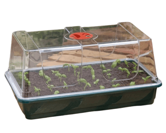 picture of Garland Large High Dome Propagator - [GRL-G19]