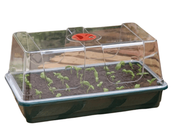 Picture of Garland Large High Dome Propagator - [GRL-G19]