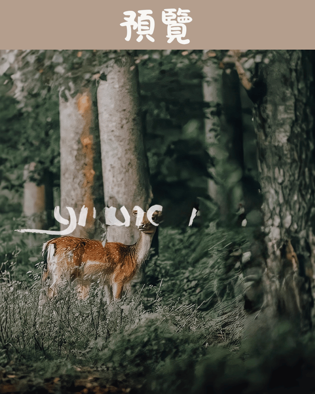 notion image