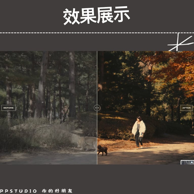 notion image