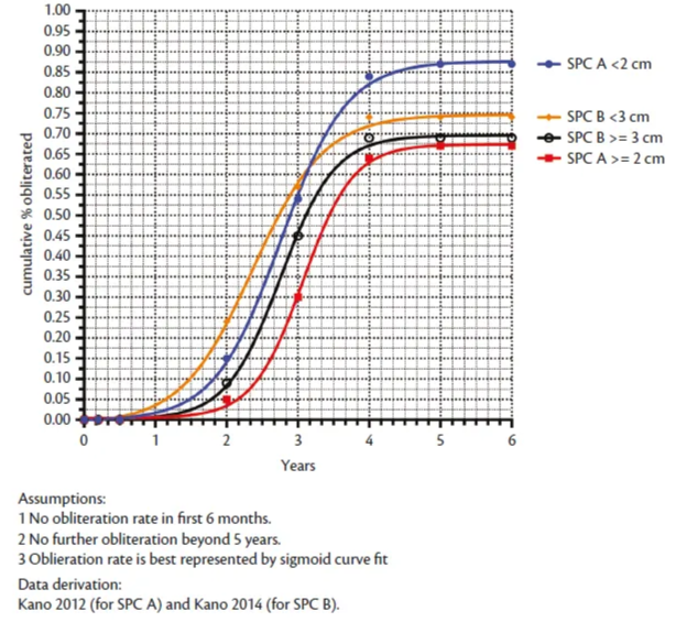 Obliteration rate for SPC A and B bAVM treated by radiosurgery