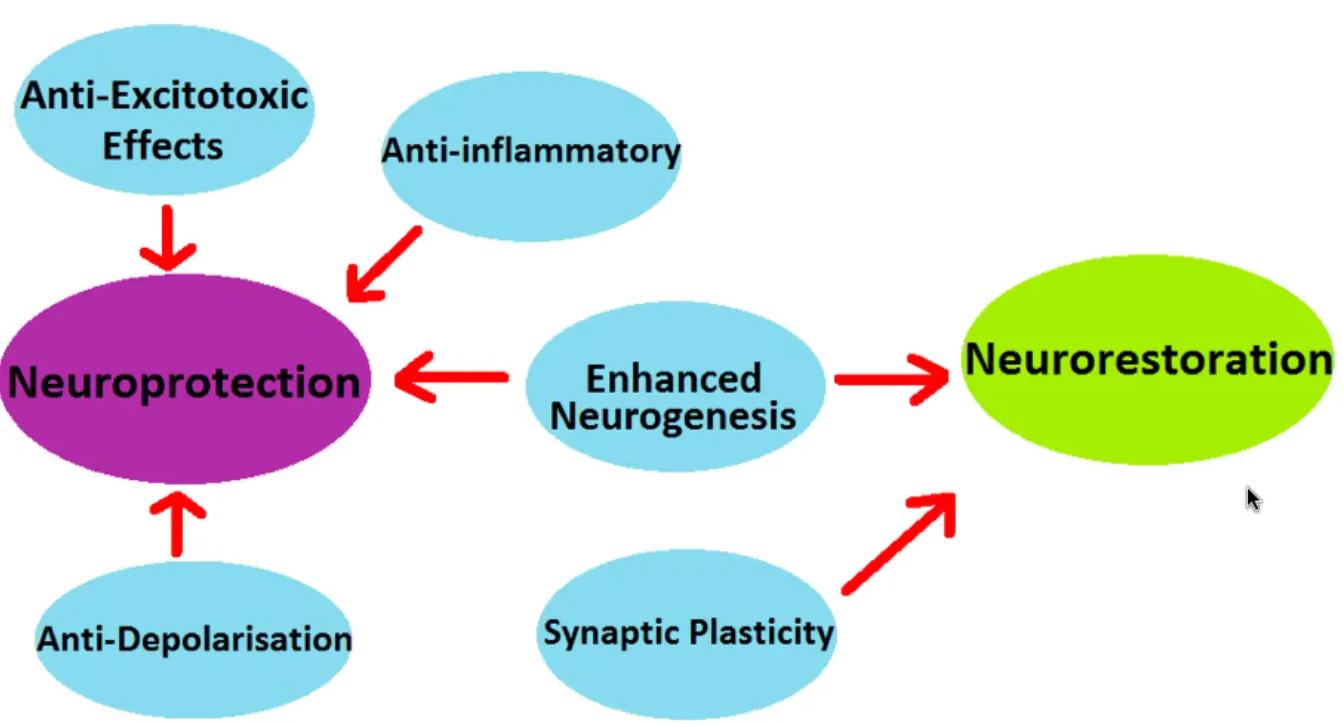 Possible neuroprotective and neurorestorative effects of VNS