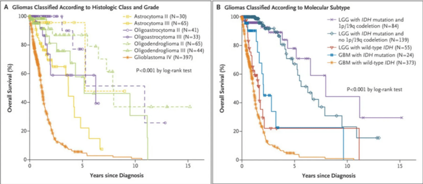 Comprehensive, integrative genomic analysis of diffuse lower-grade gliomas