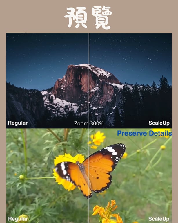 notion image