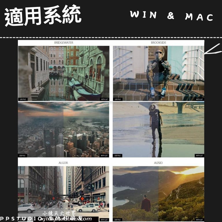 notion image