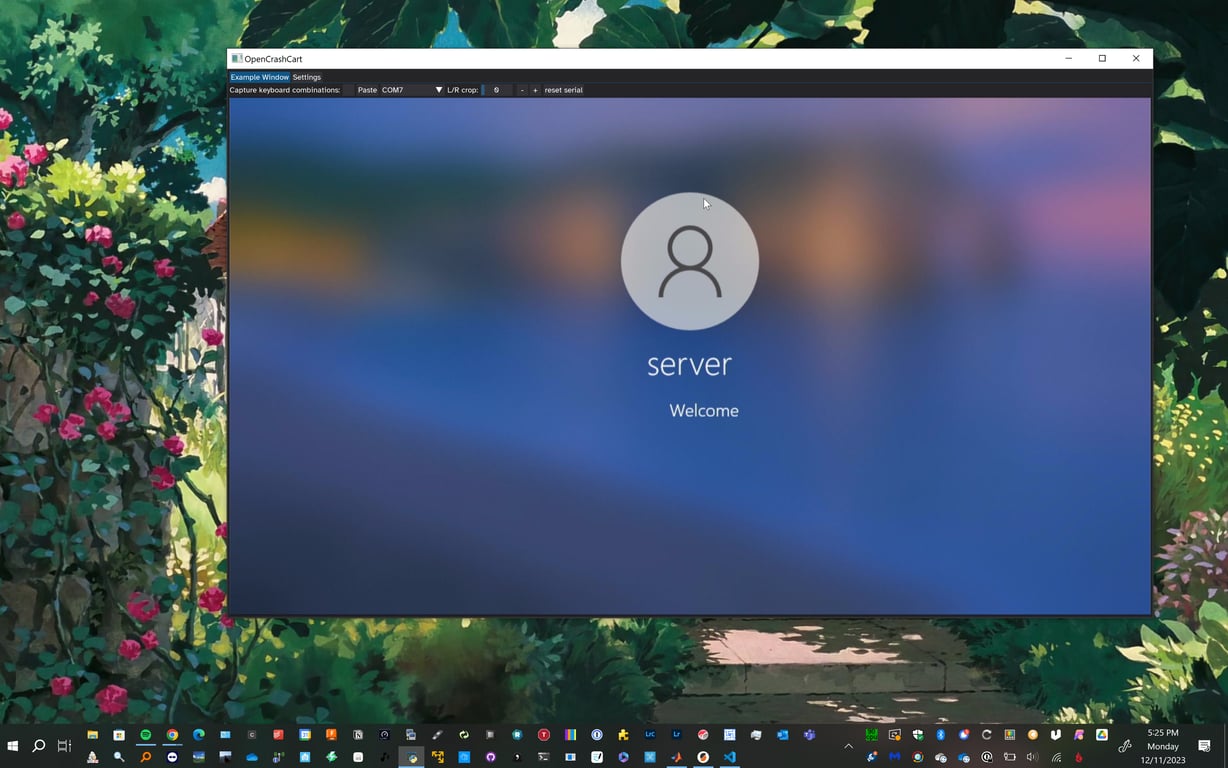Program being used within windows