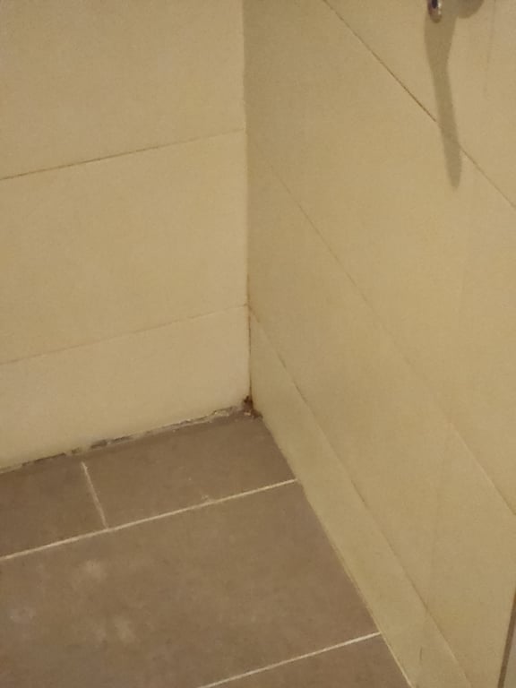 Piso Ducha Sucio  (Malo)