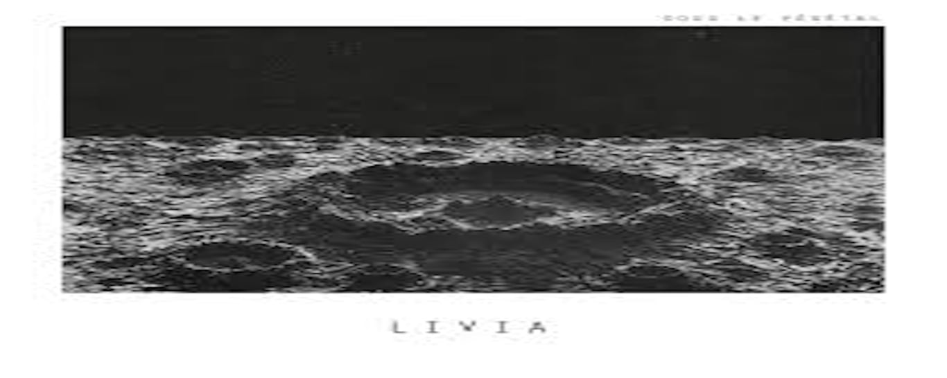 Livia