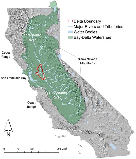 The Bay Delta Bioregion
