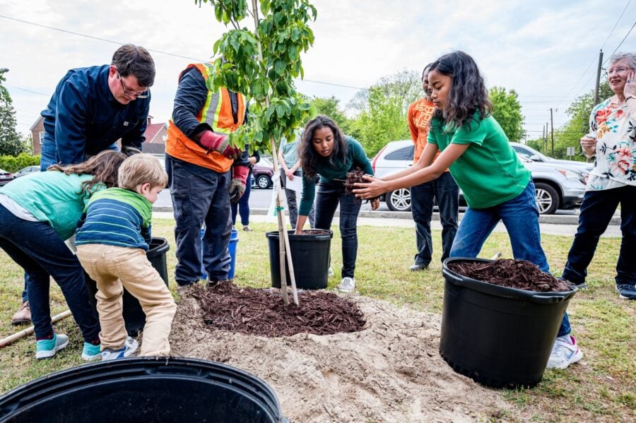 people planting trees.jpg