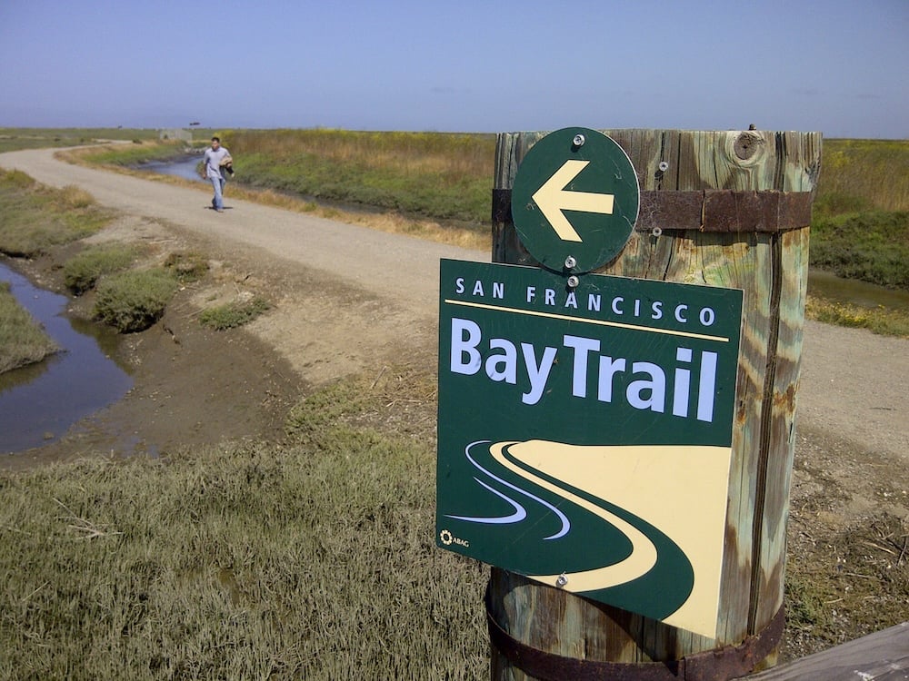 San_Francisco_Bay_Trail_in_Hayward_Regional_Shoreline_1000px.jpeg