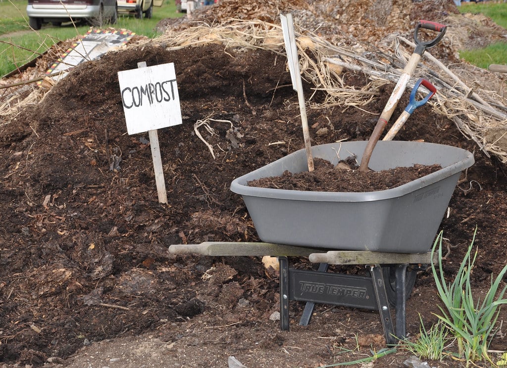 Compost pile.jpg