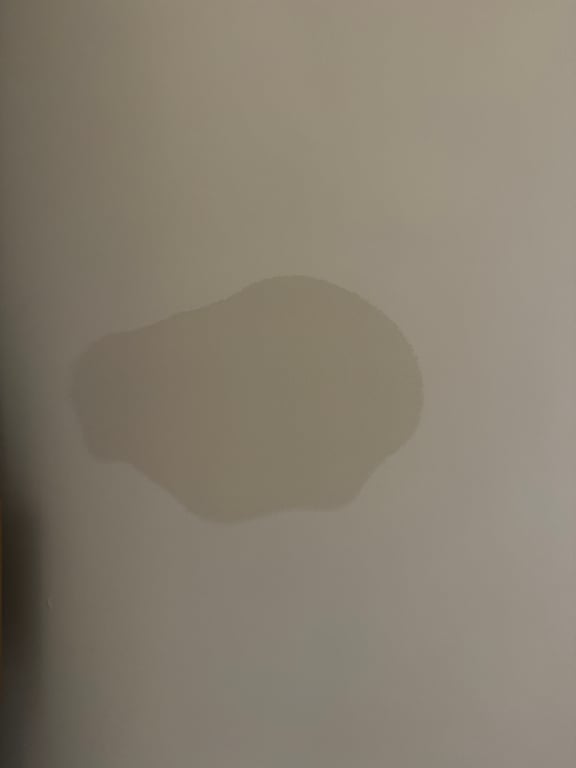 notion image