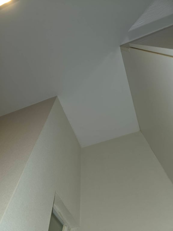 notion image