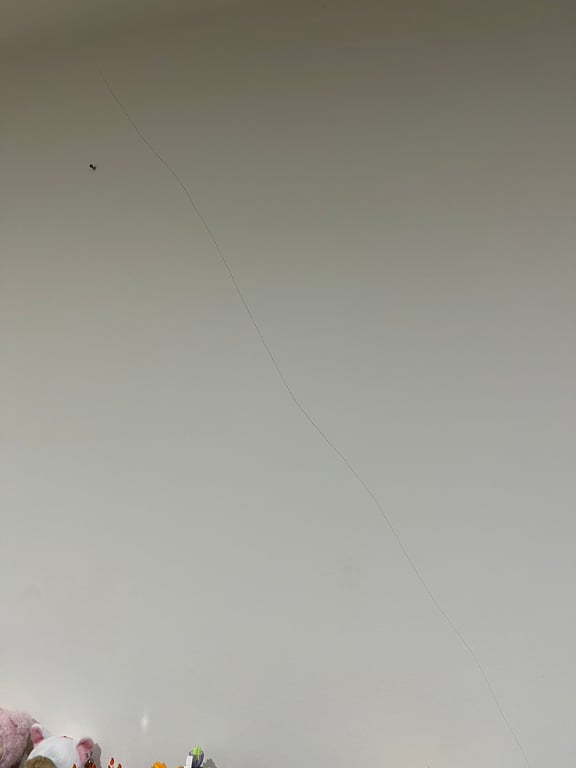 31.03.2025