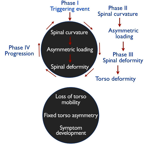 Stoke's Vicious Cycle of Pathogenesis: