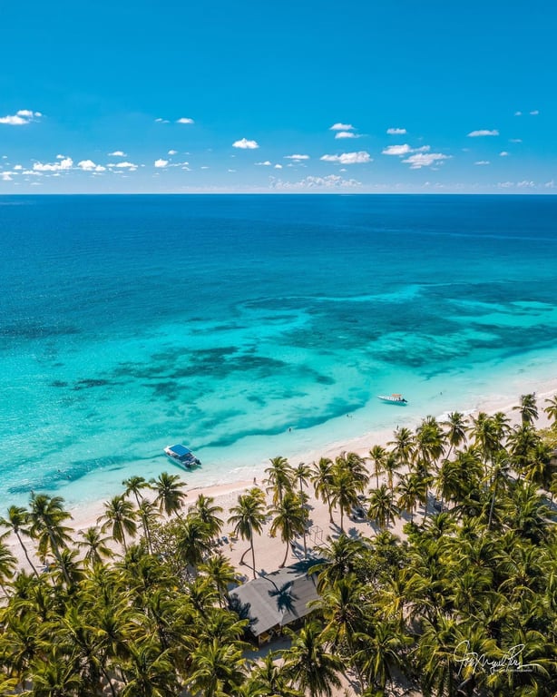 Isla Saona  VIP _ desde Bayahibe