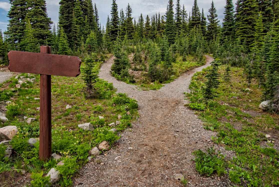 Diagram showing calculated risk involves choosing smaller, learning-focused paths first.