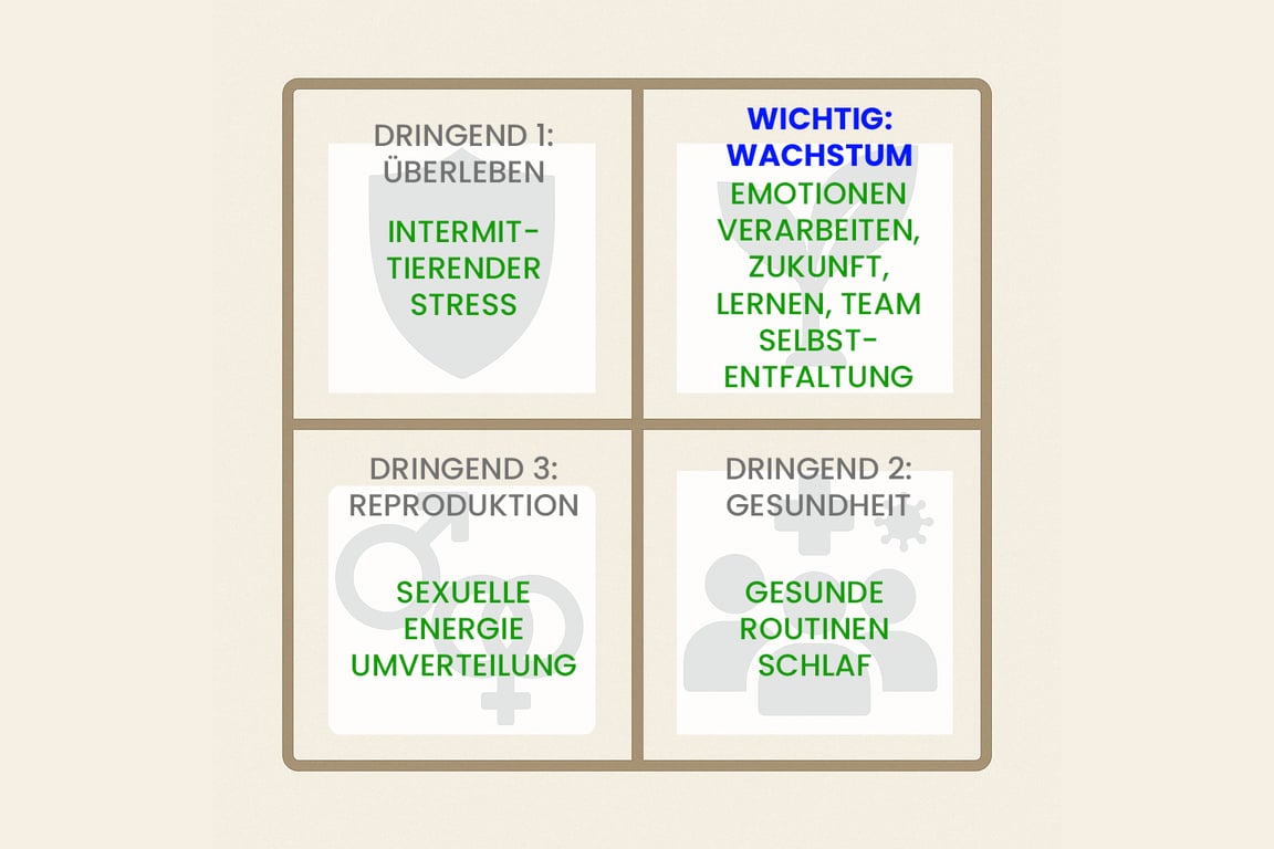 notion image