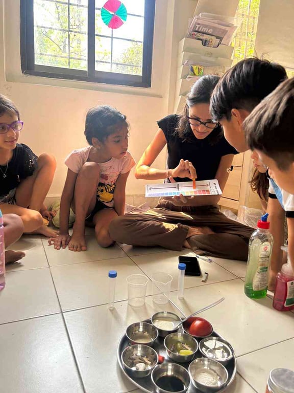 Testing acidity and alkalinity in different foods